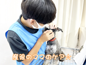２年生、子犬のお世話☆
